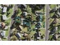 3 Nekuneku Lane, Mount Roskill, Auckland - Carousel 1