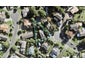16 Babington Place, Torbay, Auckland - Carousel 1