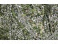 141D Glengarry Road, Glen Eden, Auckland - Carousel 1