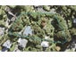 198 Wade River Road, Wade Heads, Whangaparaoa - Carousel 1