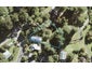 206 Wade River Road, Wade Heads, Whangaparaoa - Carousel 1