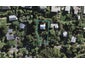 33 Beresford Avenue, Surfdale, Waiheke Island - Carousel 1
