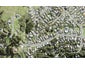 89C Wade River Road, Stanmore Bay, Whangaparaoa - Carousel 1