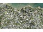 44 Duncansby Road, Stanmore Bay, Whangaparaoa - Carousel 1