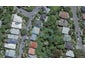 3 Hadfield Terrace, Kelburn, Wellington - Carousel 1