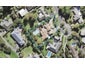 75 Waipuia Place, Greenhithe, Auckland - Carousel 1