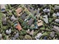 31 Calman Place, Chatswood, Auckland - Carousel 1
