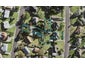 9 Nekuneku Lane, Mount Roskill, Auckland - Carousel 1