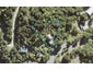 486 Leigh Road, Warkworth - Carousel 1