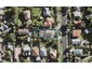 25 Whitney Street, New Windsor, Auckland - Carousel 1