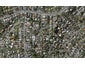 18 Stoneyroyd Gardens, Remuera, Auckland - Carousel 1