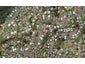 81 Raumanga Heights Drive, Raumanga, Whangarei - Carousel 1