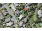 6 Finnerty Avenue, Howick, Auckland - Carousel 1