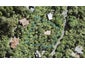 209 Shaw Road, Titirangi, Auckland - Carousel 1