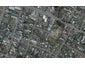 12 Short Street, Waltham, Christchurch - Carousel 1
