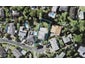 12 Gibson Place, Mellons Bay, Auckland - Carousel 1