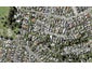 73 Edmund Street, St Heliers, Auckland - Carousel 1
