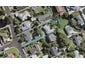 15 Tampin Road, Hillpark, Auckland - Carousel 1