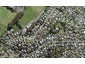 36C Waverley Avenue, Glenfield, Auckland - Carousel 1