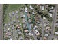 14 Caledonia Place, Highlands Park, New Plymouth - Carousel 1