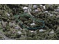 24 Hursthouse Street, Vogeltown, New Plymouth - Carousel 1