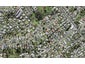 39 Eastglen Road, Glen Eden, Auckland - Carousel 1