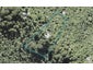 158 Opanuku Road, Henderson Valley, Auckland - Carousel 1