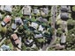 2/114 Canongate Street, Birkdale, Auckland - Carousel 1