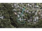 29 Tui Glen Road, Birkenhead, Auckland - Carousel 1