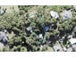 141 Cornwallis Road, Cornwallis, Auckland - Carousel 1