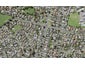347 Bucklands Beach Road, Bucklands Beach, Auckland - Carousel 1