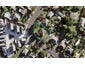 63 Daventry Street, Waterview, Auckland - Carousel 1