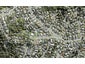 91 Glenvar Road, Torbay, Auckland - Carousel 1