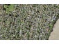 47 Anderson Avenue, Point England, Auckland - Carousel 1