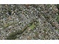 12B Mountbatten Avenue, Hillcrest, Auckland - Carousel 1