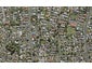5 Ara Rewarewa, Papatoetoe, Auckland - Carousel 1