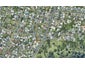1 Alverstoke Road, Parkvale, Tauranga - Carousel 1