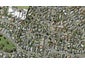 3 Imatra Place, Sunnyhills, Auckland - Carousel 1