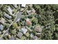 17 Kawaka Street, Titirangi, Auckland - Carousel 1
