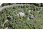 172 Scenic Drive, Titirangi, Auckland - Carousel 1