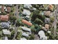 1/72 Margot Street, Epsom, Auckland - Carousel 1