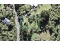 31 Rimu Road, Oratia, Auckland - Carousel 1