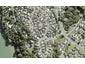 3 Rivervale Grove, Stanmore Bay, Whangaparaoa - Carousel 1