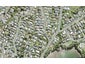 6A Brixton Road, Manly, Whangaparaoa - Carousel 1