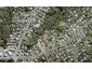 56C Verran Road, Birkdale, Auckland - Carousel 1