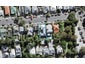 22 Brown Street, Ponsonby, Auckland - Carousel 1