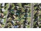 10 Nekuneku Lane, Mount Roskill, Auckland - Carousel 1