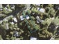 218 Wade River Road, Wade Heads, Whangaparaoa - Carousel 1