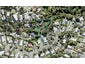 34 Infidel Place, Torbay, Auckland - Carousel 1