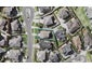 21 Kilkelly Avenue, Pinehill, Auckland - Carousel 1